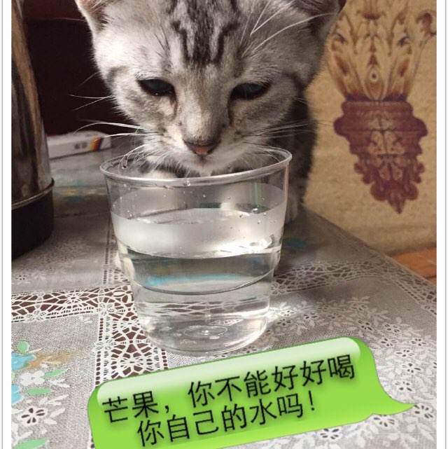 办特种设备作业员证
